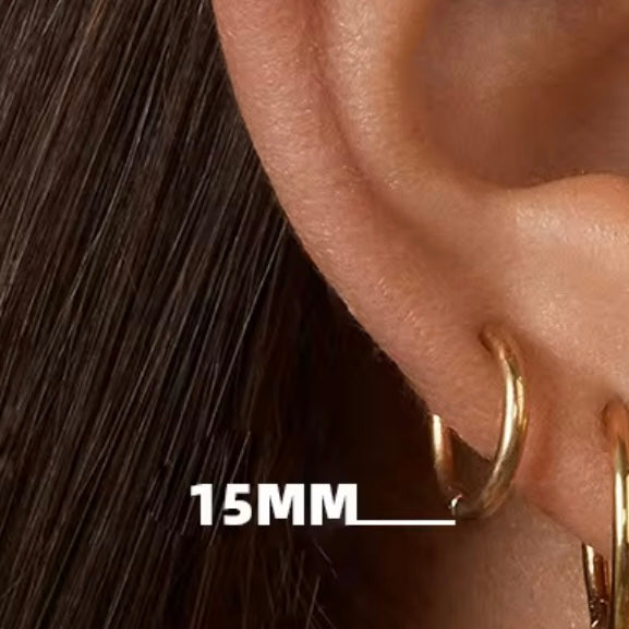 The Tiny Hinge Hoops