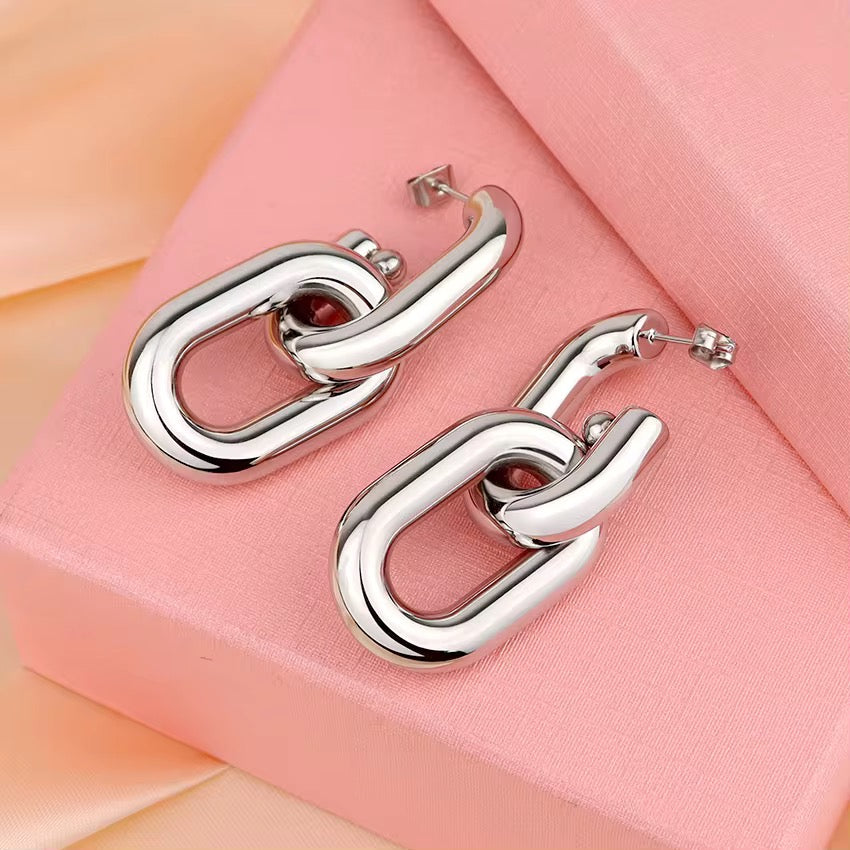 The Chain Links Silver Earrings