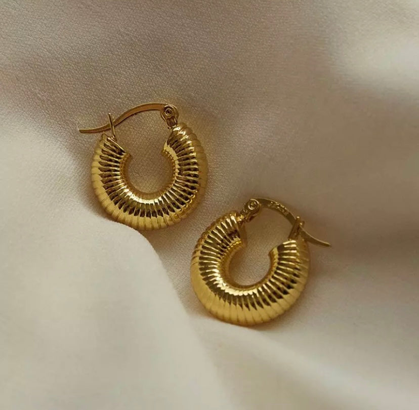 Load image into Gallery viewer, The Slink Hoop Earrings
